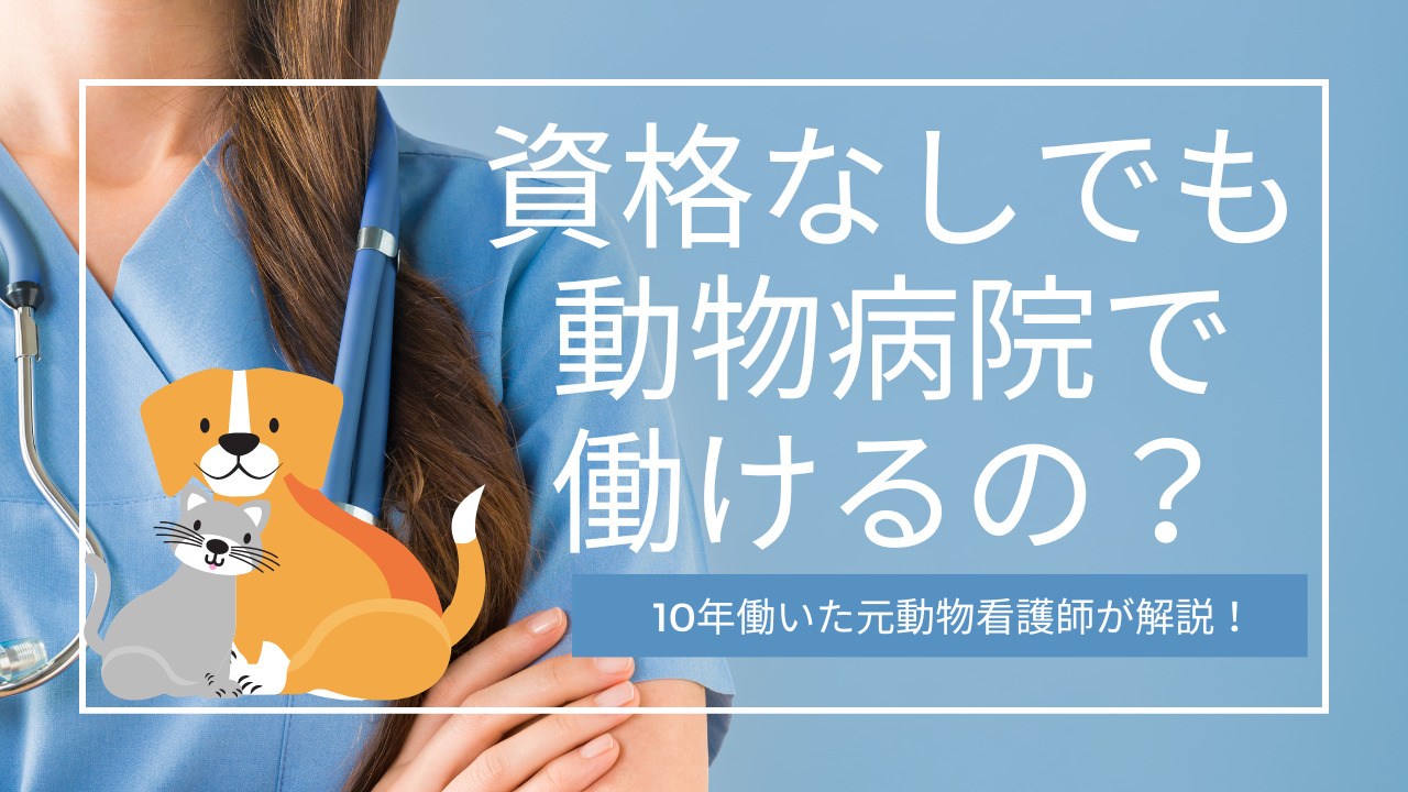 資格なしでも動物看護師になれる １０年働いた元動物看護師が解説します 転妻チョコのワーママ最強装備